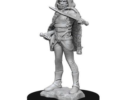 D&D Nolzurs Marvelous Unpainted Miniatures Darkling Elder & Darklings Online Sale